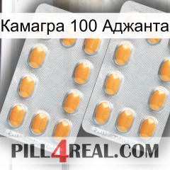 Камагра 100 Аджанта cialis4